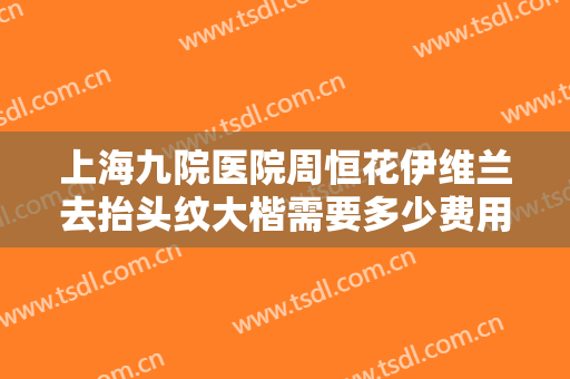 上海九院医院周恒花伊维兰去抬头纹大楷需要多少费用?效果怎么样?