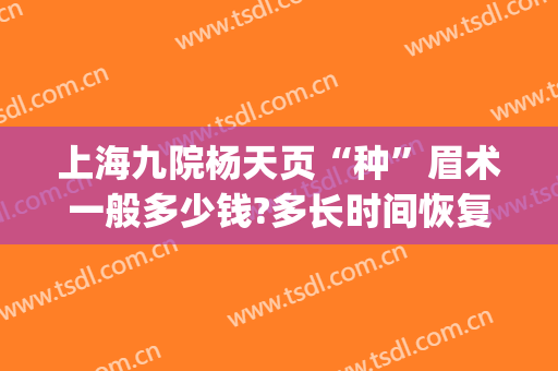 上海九院杨天页“种”眉术一般多少钱?多长时间恢复?(上海九院植眉价格)