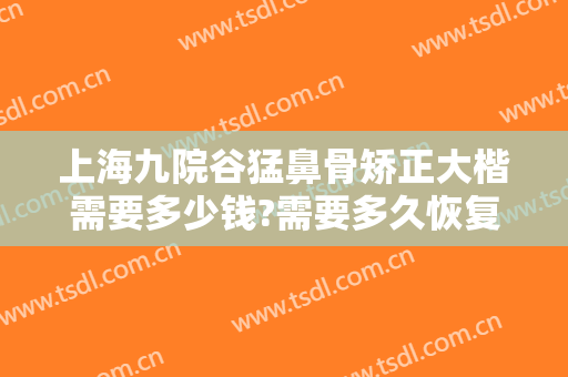 上海九院谷猛鼻骨矫正大楷需要多少钱?需要多久恢复?