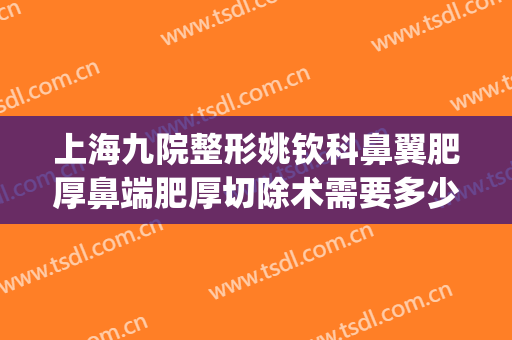 上海九院整形姚钦科鼻翼肥厚鼻端肥厚切除术需要多少费用?怎么样?(鼻翼宽手术)
