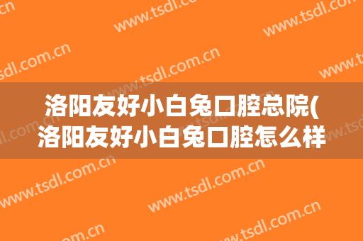 洛阳友好小白兔口腔总院(洛阳友好小白兔口腔怎么样)