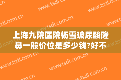 上海九院医院杨雪玻尿酸隆鼻一般价位是多少钱?好不好?(上海九院隆鼻专家排名)