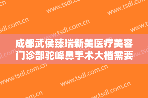成都武侯臻瑞新美医疗美容门诊部驼峰鼻手术大楷需要多少钱?怎么样?