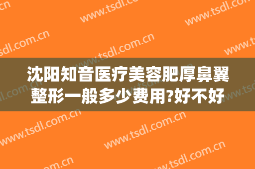 沈阳知音医疗美容肥厚鼻翼整形一般多少费用?好不好?(沈阳鼻整形哪里好)