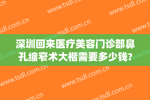 深圳回来医疗美容门诊部鼻孔缩窄术大楷需要多少钱?怎么样?(深圳整形鼻子)