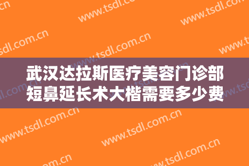 武汉达拉斯医疗美容门诊部短鼻延长术大楷需要多少费用?可靠吗?