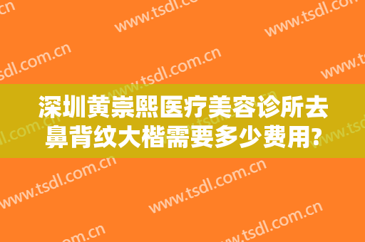 深圳黄崇熙医疗美容诊所去鼻背纹大楷需要多少费用?贵不贵?