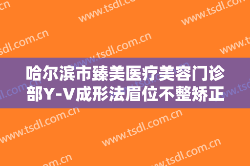 哈尔滨市臻美医疗美容门诊部Y-V成形法眉位不整矫正术价格多少钱?靠谱吗?