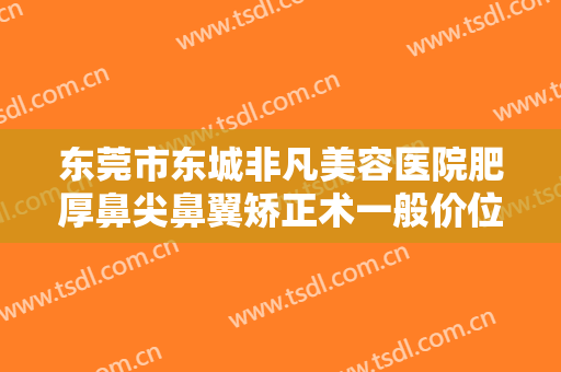 东莞市东城非凡美容医院肥厚鼻尖鼻翼矫正术一般价位是多少?效果怎么样?