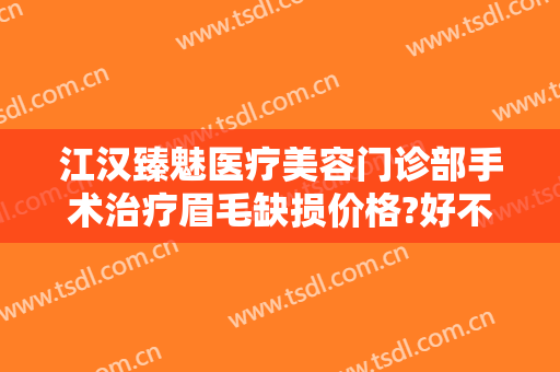 江汉臻魅医疗美容门诊部手术治疗眉毛缺损价格?好不好?