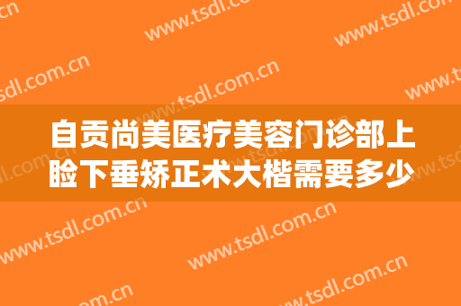 自贡尚美医疗美容门诊部上睑下垂矫正术大楷需要多少钱?靠谱吗?(自贡尚美整形医院电话)