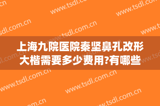 上海九院医院秦坚鼻孔改形大楷需要多少费用?有哪些优势?(上海九院缩小鼻翼多少钱)