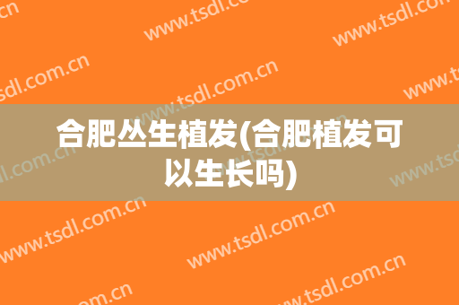 合肥丛生植发(合肥植发可以生长吗)