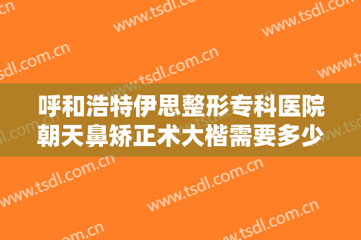 呼和浩特伊思整形专科医院朝天鼻矫正术大楷需要多少钱?有哪些优势?
