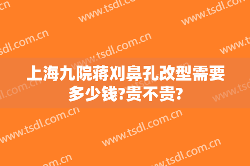 上海九院蒋刈鼻孔改型需要多少钱?贵不贵?