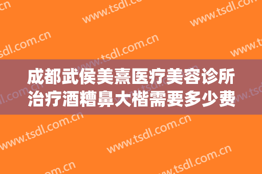 成都武侯美熹医疗美容诊所治疗酒糟鼻大楷需要多少费用?贵不贵?(成都治疗酒糟鼻最好的医院)