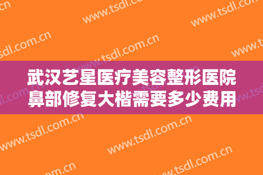 武汉艺星医疗美容整形医院鼻部修复大楷需要多少费用?需要多久恢复?