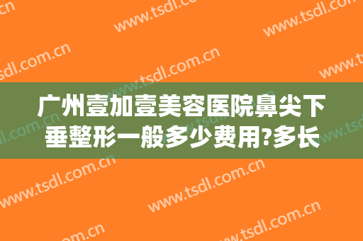 广州壹加壹美容医院鼻尖下垂整形一般多少费用?多长时间恢复?(壹美整形美容医院好吗)