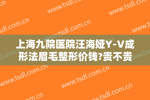 上海九院医院汪海娅Y-V成形法眉毛整形价钱?贵不贵?