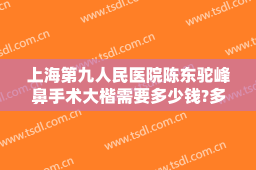 上海第九人民医院陈东驼峰鼻手术大楷需要多少钱?多长时间恢复?