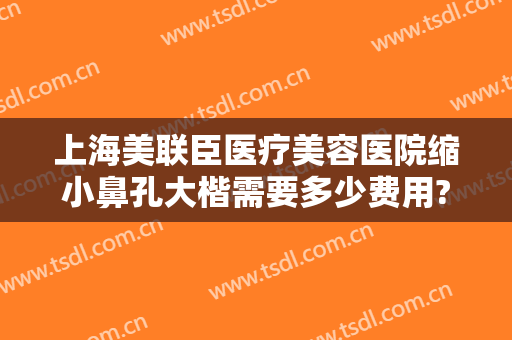 上海美联臣医疗美容医院缩小鼻孔大楷需要多少费用?效果怎么样?