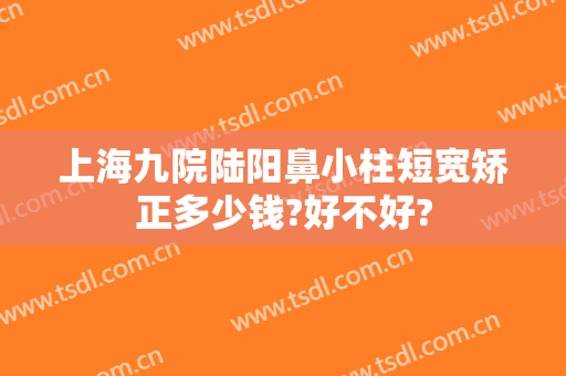 上海九院陆阳鼻小柱短宽矫正多少钱?好不好?