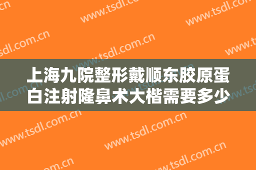 上海九院整形戴顺东胶原蛋白注射隆鼻术大楷需要多少费用?贵不贵?