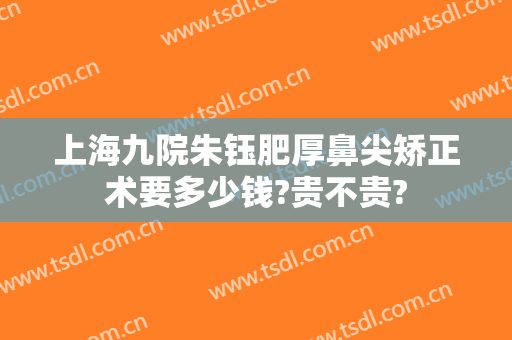 上海九院朱钰肥厚鼻尖矫正术要多少钱?贵不贵?