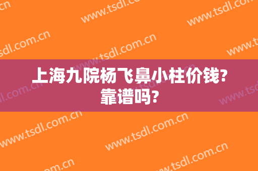 上海九院杨飞鼻小柱价钱?靠谱吗?