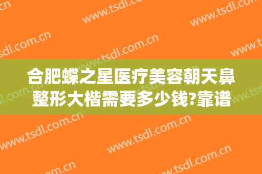 合肥蝶之星医疗美容朝天鼻整形大楷需要多少钱?靠谱吗?(合肥哪家整形医院做鼻子好)