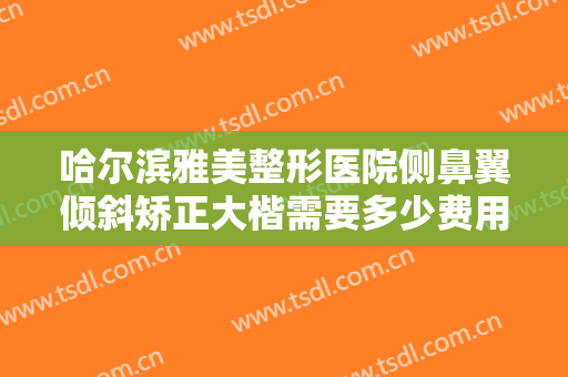 哈尔滨雅美整形医院侧鼻翼倾斜矫正大楷需要多少费用?效果怎么样?