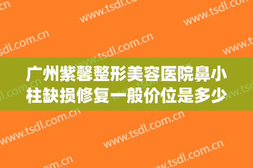 广州紫馨整形美容医院鼻小柱缺损修复一般价位是多少费用?好不好?(紫 馨广州三级外科的鼻子整形医院)