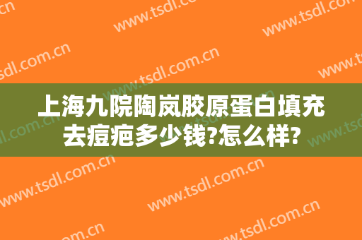 上海九院陶岚胶原蛋白填充去痘疤多少钱?怎么样?