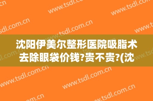 沈阳伊美尔整形医院吸脂术去除眼袋价钱?贵不贵?(沈阳汇美人医疗美容怎样吸脂怎么样)