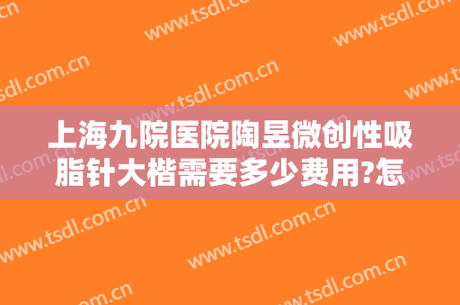 上海九院医院陶昱微创性吸脂针大楷需要多少费用?怎么样?