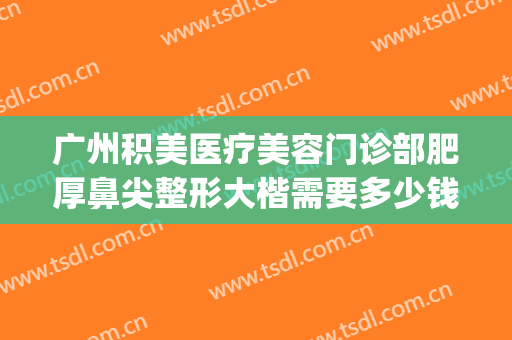 广州积美医疗美容门诊部肥厚鼻尖整形大楷需要多少钱?效果怎么样?(广州积美整形 正规吗)