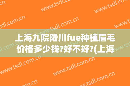 上海九院陆川fue种植眉毛价格多少钱?好不好?(上海九院可以种植眉毛吗)