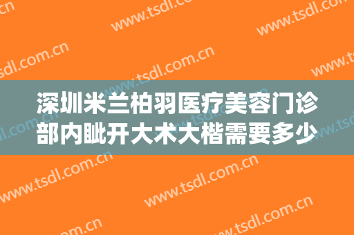 深圳米兰柏羽医疗美容门诊部内眦开大术大楷需要多少费用?贵不贵?(深圳米兰柏羽美容医院怎么样)