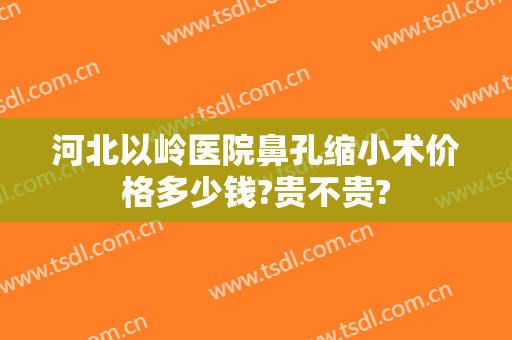河北以岭医院鼻孔缩小术价格多少钱?贵不贵?