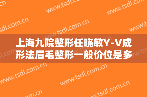 上海九院整形任晓敏Y-V成形法眉毛整形一般价位是多少钱?贵不贵?