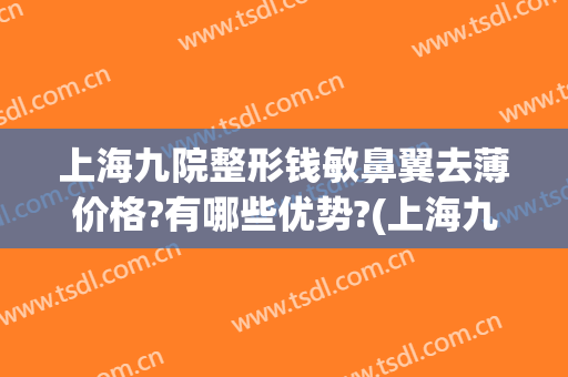上海九院整形钱敏鼻翼去薄价格?有哪些优势?(上海九院缩小鼻翼多少钱)