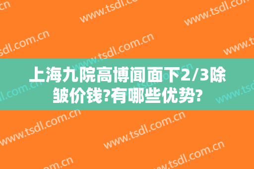 上海九院高博闻面下2/3除皱价钱?有哪些优势?