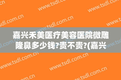 嘉兴禾美医疗美容医院微雕隆鼻多少钱?贵不贵?(嘉兴禾美整形医院地址)
