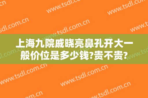 上海九院戚晓亮鼻孔开大一般价位是多少钱?贵不贵?