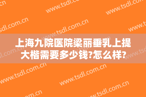 上海九院医院梁丽垂乳上提大楷需要多少钱?怎么样?