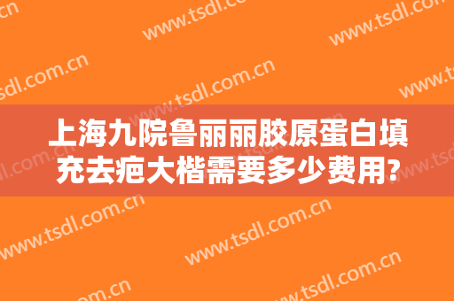 上海九院鲁丽丽胶原蛋白填充去疤大楷需要多少费用?有哪些优势?