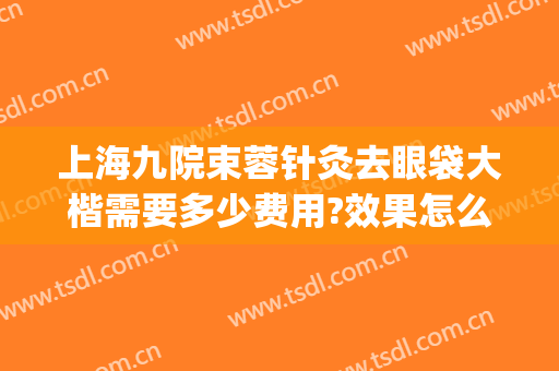 上海九院束蓉针灸去眼袋大楷需要多少费用?效果怎么样?(上海九院做眼袋大概多少钱)