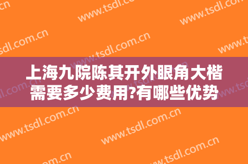 上海九院陈其开外眼角大楷需要多少费用?有哪些优势?
