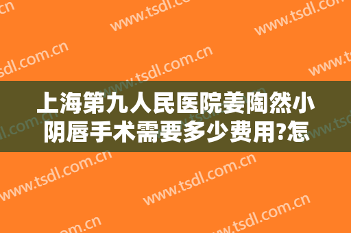 上海第九人民医院姜陶然小阴唇手术需要多少费用?怎么样?