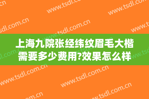 上海九院张经纬纹眉毛大楷需要多少费用?效果怎么样?(上海九院做眉毛多少钱)